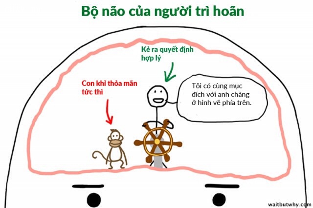 Não của người hay trì hoãn
